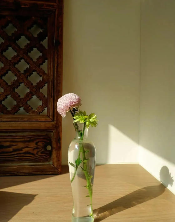 1774255250288661.jpg 1.jpg